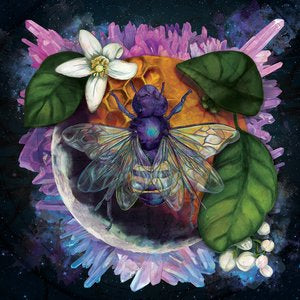 Cosmic Nectar