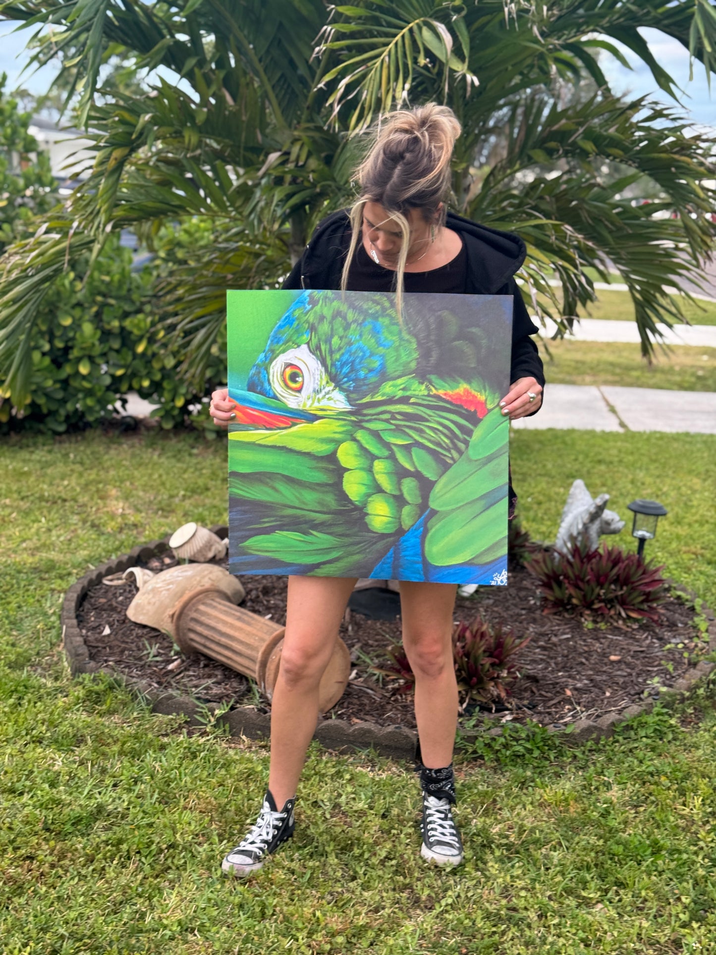 Blue Crowned Conure (collective print)